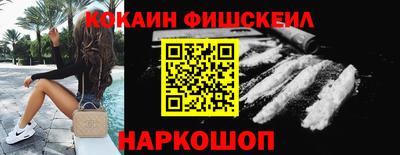 крисы Гатчина