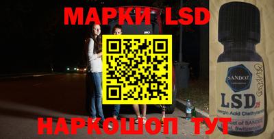 крисы Гатчина