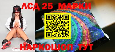 крисы Гатчина