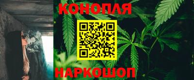 крисы Гатчина