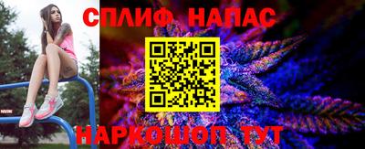 крисы Гатчина